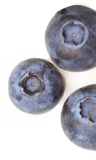 West coast Canadian blueberries